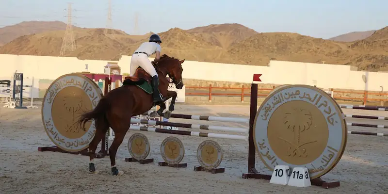 Show jumper on a brown horse clearing a branded hurdle at an equestrian club near the mountains of Jeddah.