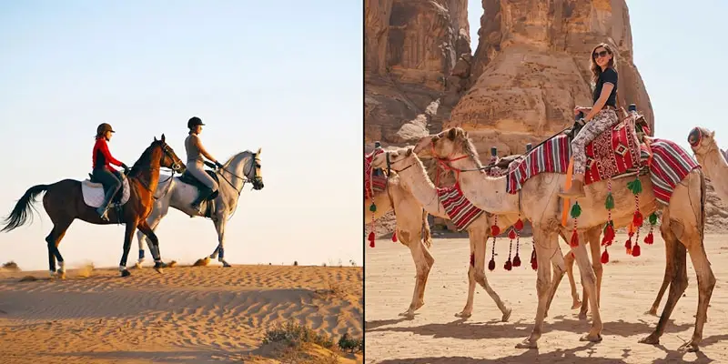 Split photo comparing two women riding horses along desert dunes on the left with a tourist riding a decorated camel near sandstone cliffs in the Jeddah desert on the right.
