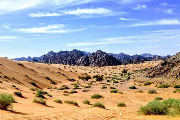 Hidden Desert Gems Near Makkah for Safari Lovers
