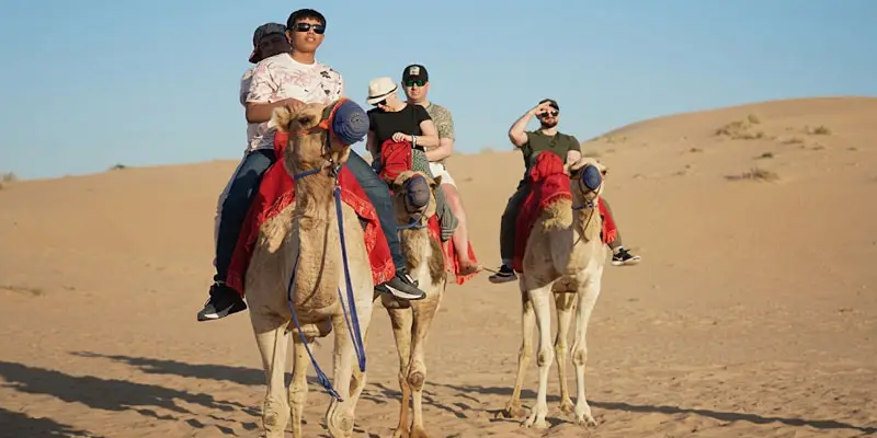 Group of tourists riding camels in a row across sandy dunes in the Jeddah desert.