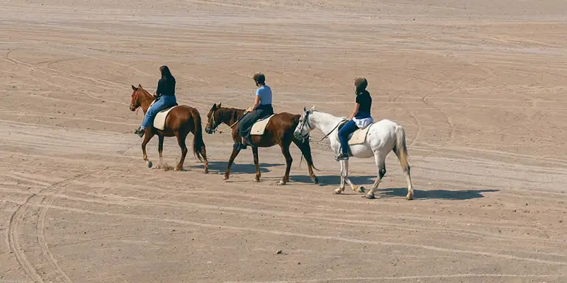 Three horse riders guided on a scenic trail ride across open desert terrain near Jeddah.