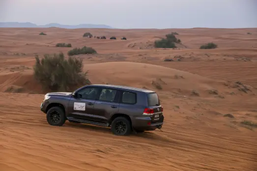 Top Reasons to Choose an Evening Desert Safari in Jeddah