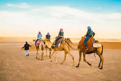 camel trekking jeddah