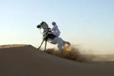 desert horse riding jeddah