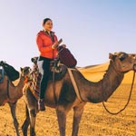 Camel Trekking in Jeddah