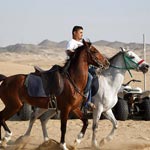 Desert Horse Riding in Jeddah