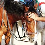 Desert Horse Riding in Jeddah