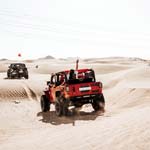 Morning Desert Safari Jeddah