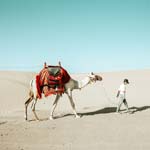 Morning Desert Safari Jeddah