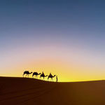 Sunrise Desert Safari Jeddah